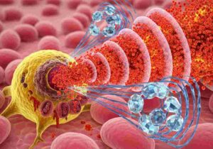 Taming Zombie Cells: New Science to Slow Human Aging